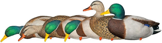 Avian-X Full Body Decoys Mallard 6 PK. Brown